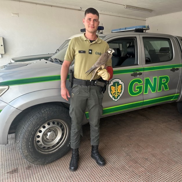 GNR – Comando Territorial de Beja