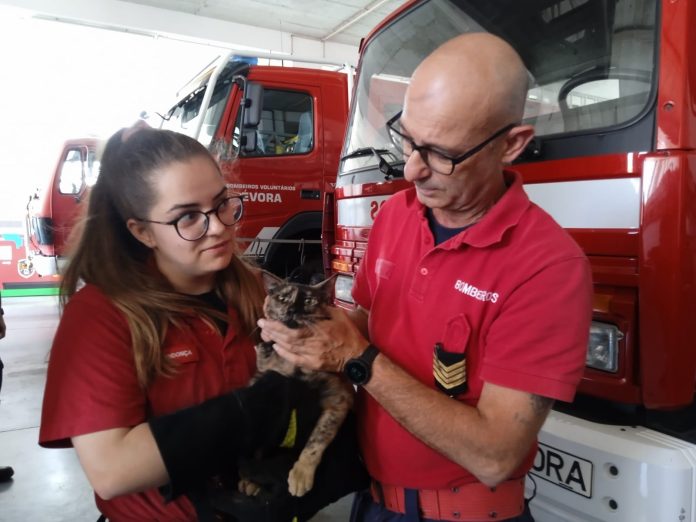 Bombeiros Voluntários de Évora - Facebook